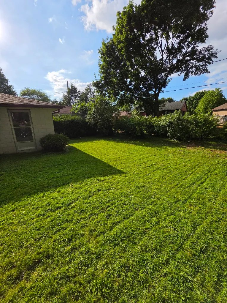 Freshly cut striped back lawn